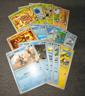 Pokémon Heat Wave Arena Korea 2