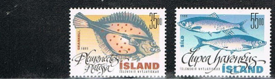Islanti 1999 - Kaloja (2)  ++