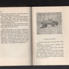 Järvinen, A. E.: Rauhaton erämaa, WSOY 1945, 1.p., sid., K3 - pikkukuva 3