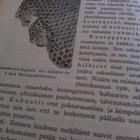 Pulkkinen - Hellaakoski - Laamanen : Eläinoppi II 1946 - pikkukuva 5