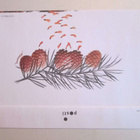 FDC ENSIPÄIVÄKUORI 1.3.2004 KAKKOSLUOKKA MERKKI - pikkukuva 2