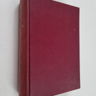 V. Riegels : Neiti Dik menee kihloihin ; Neiti Dik häämat... - pikkukuva 1
