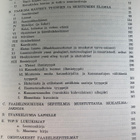 Z. TOPELIUKSEN KUVAKIELESTÄ  JA FAABELEISTA - pikkukuva 2