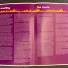 VELVET GOLDMINE BOOKLET VIHKONEN - pikkukuva 3
