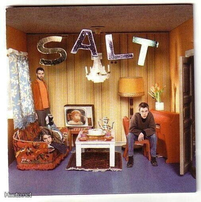 cd, Salt: Auscultate [indie rock]