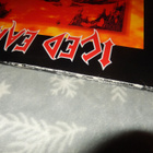 Iced earth - Burnt offerings 2lp - pikkukuva 2