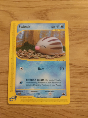 Swinub