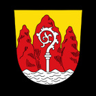 Kivettynyt puu Wolkertshofen Saksa n.1/4kg 134mm - pikkukuva 3