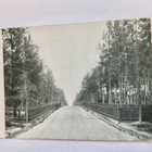 VANHA Postikortti Raivola Luov Karjala 1900-l - pikkukuva 1