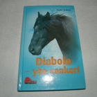 Gabi Adam Diabolo - yön sankari - pikkukuva 1