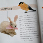 Villaiset pikkupehmot - pikkukuva 2