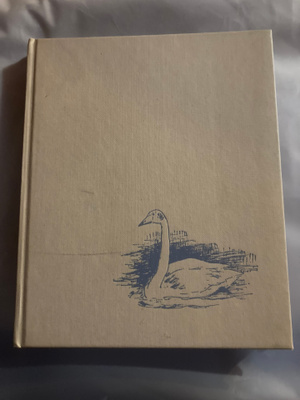 Yrjö Knuutinen : Kurkki