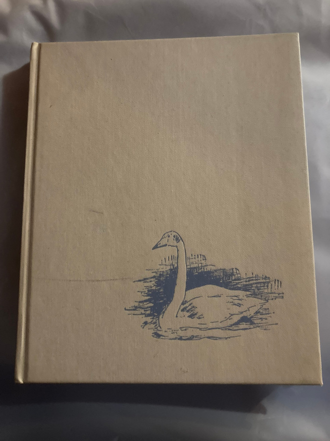 Yrjö Knuutinen : Kurkki