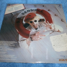 CAPTAIN SENSIBLE`S - WOMEN AND CAPTAINS FIRST   -   LP - pikkukuva 2