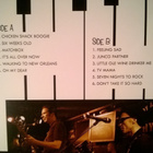 Gene Taylor - Roadhouse Memories LP - pikkukuva 3