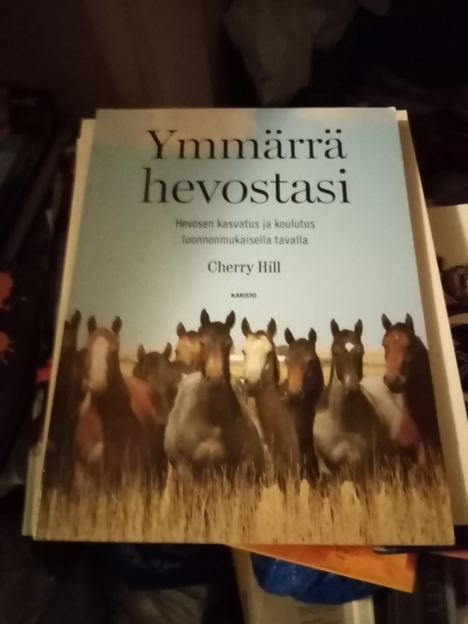 HILL :  YMMÄRRÄ Hevostasi ( SIS POSTIKULU)