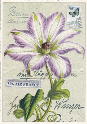 Vihreän-violetti kukka (Tausendschön-kortti)