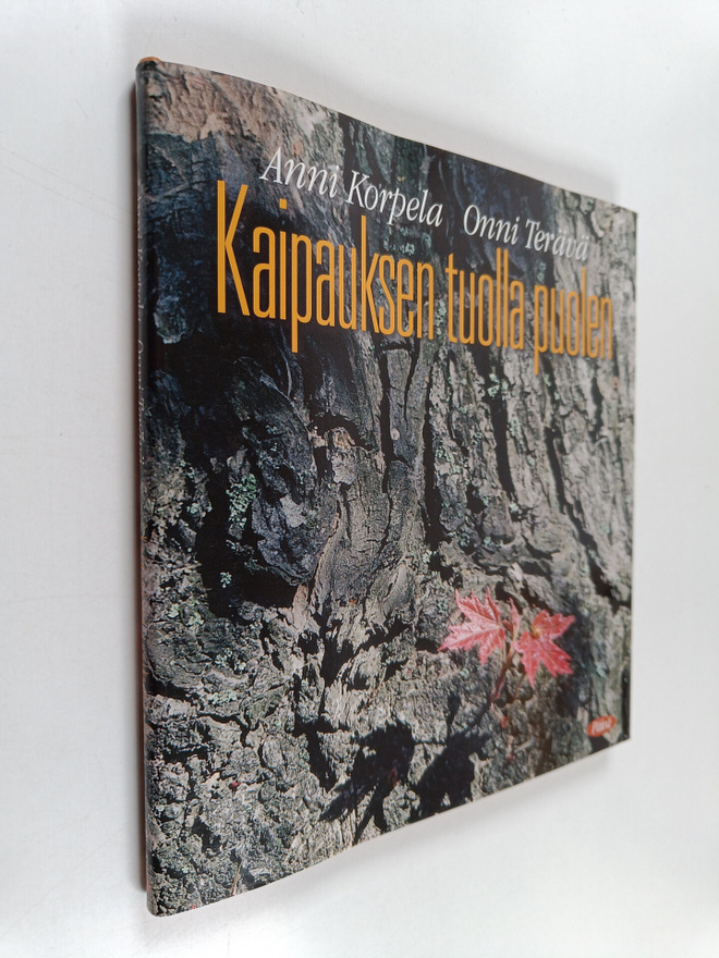 Anni Korpela : Kaipauksen tuolla puolen