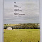 Erkki Koitakorpi : Vaaralla paljain päin : runoja 1962-1985 - pikkukuva 2