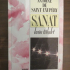 Antoine de Saint-Exupéry: Sanat kuin tähdet - pikkukuva 1