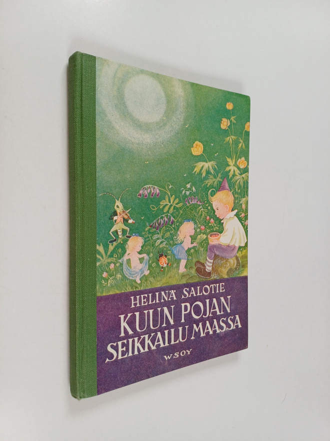 Helinä Salotie : Kuun pojan seikkailu maassa