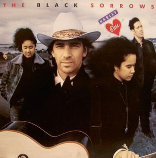 The Black Sorrows - Harley And Rose CD + 6 bonusta