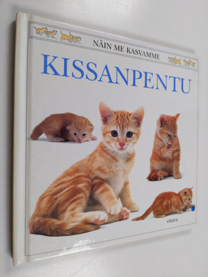 Jane Burton : Kissanpentu
