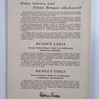Ensio Lehtonen : Hengen virka - pikkukuva 2
