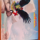CD: Budgie - Never Turn Your Back on a Friend - pikkukuva 1