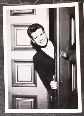 Champion Pop - Bobby Vee