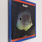 Lionel (toim.) Bender : Kodin uusi eläinkirja : Kalat - pikkukuva 1