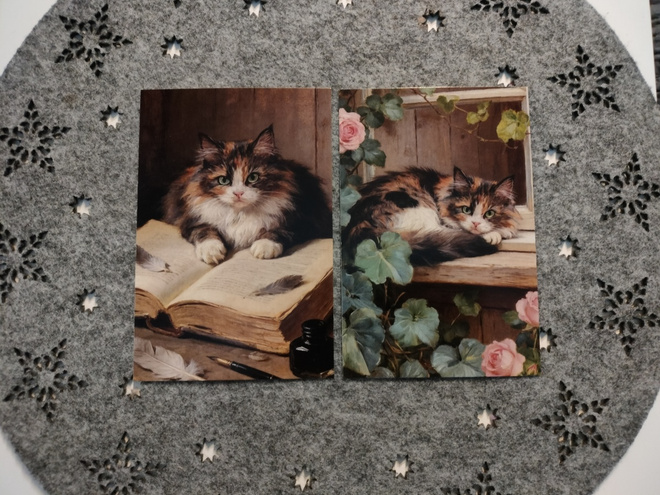 ~Kissa kortti~ 2kpl