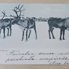 Oulu, poroja, kaupunki taustalla, mv pk, k. k-k - pikkukuva 1
