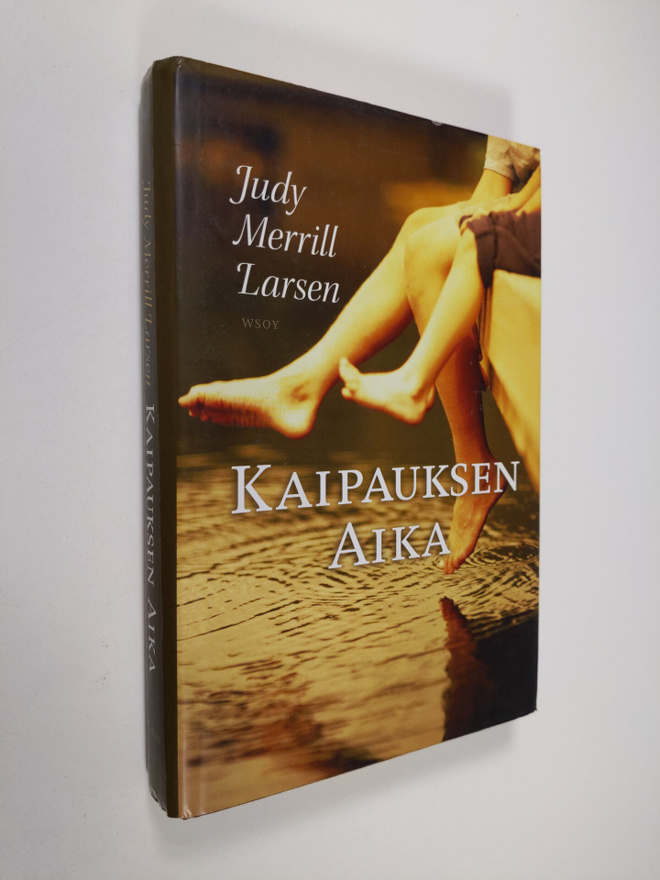 Judy Merrill Larsen : Kaipauksen aika