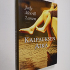 Judy Merrill Larsen : Kaipauksen aika - pikkukuva 1