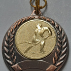Mitali Kultakiekko 2011 - pikkukuva 5