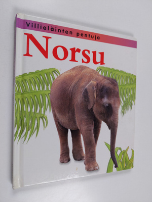 Jinny Johnson : Norsu