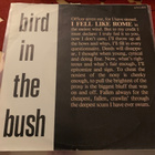 BIRD IN THE BUSH: I Fell Like Rome * French …* FIN 1990 - pikkukuva 1