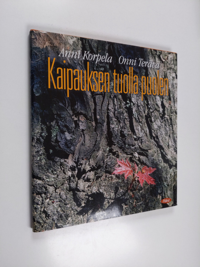 Anni Korpela : Kaipauksen tuolla puolen