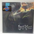 LORD FIST - WORDLESS WISDOM OF LORD FIST M-/EX LP - pikkukuva 1