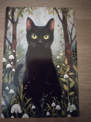 Kissa kortti,kulkematon.