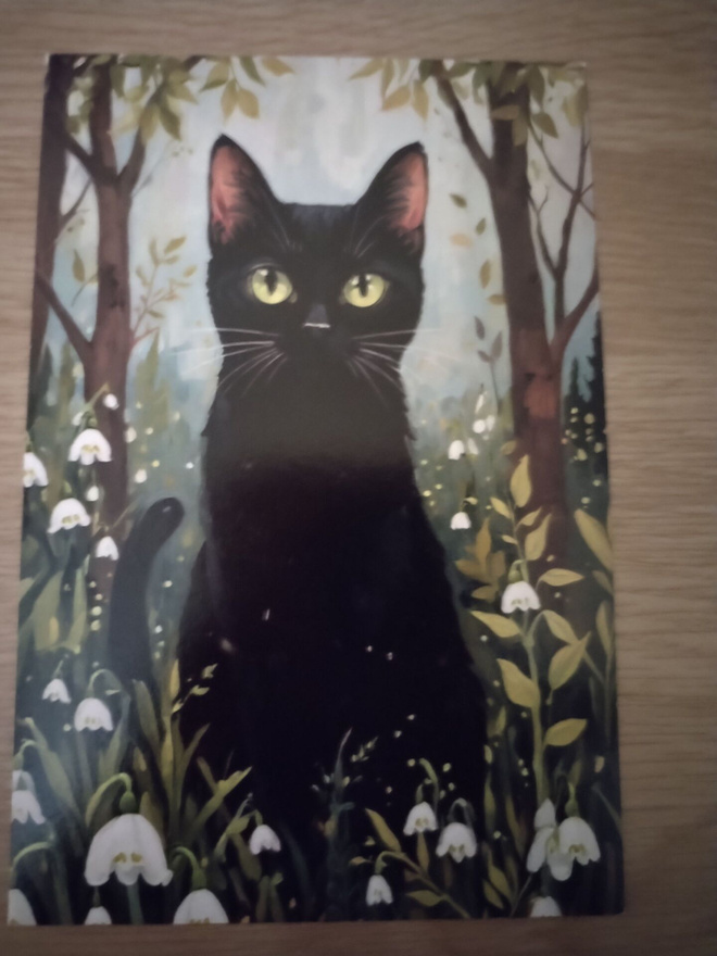 Kissa kortti,kulkematon.