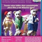 Ti-Ti Nallen Synttärit DVD - pikkukuva 2