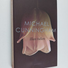 Michael Cunningham : Illan tullen - pikkukuva 1