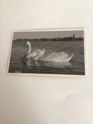 Tornio kulkenut 1955