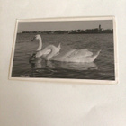 Tornio kulkenut 1955 - pikkukuva 1
