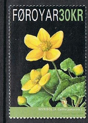 Färsaaret 2008 - Kansalliskukka rentukka 30kr ++