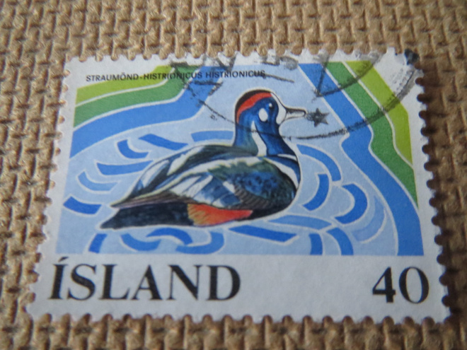 Islanti 1977: soiden suojelu