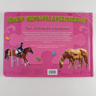 Minun hevospalapelikirjani - pikkukuva 2