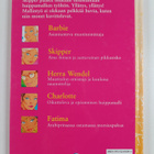 Barbie huippumallina - pikkukuva 2